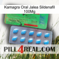 Kamagra Oral Jelly Sildenafil 100Mg new03